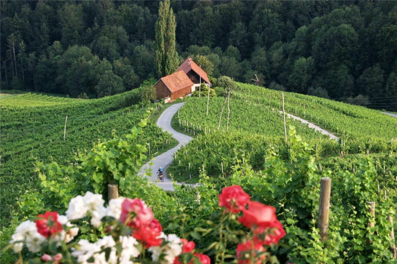 Weingut- Gaestezimmer Marko Leutschach Dış mekan fotoğraf
