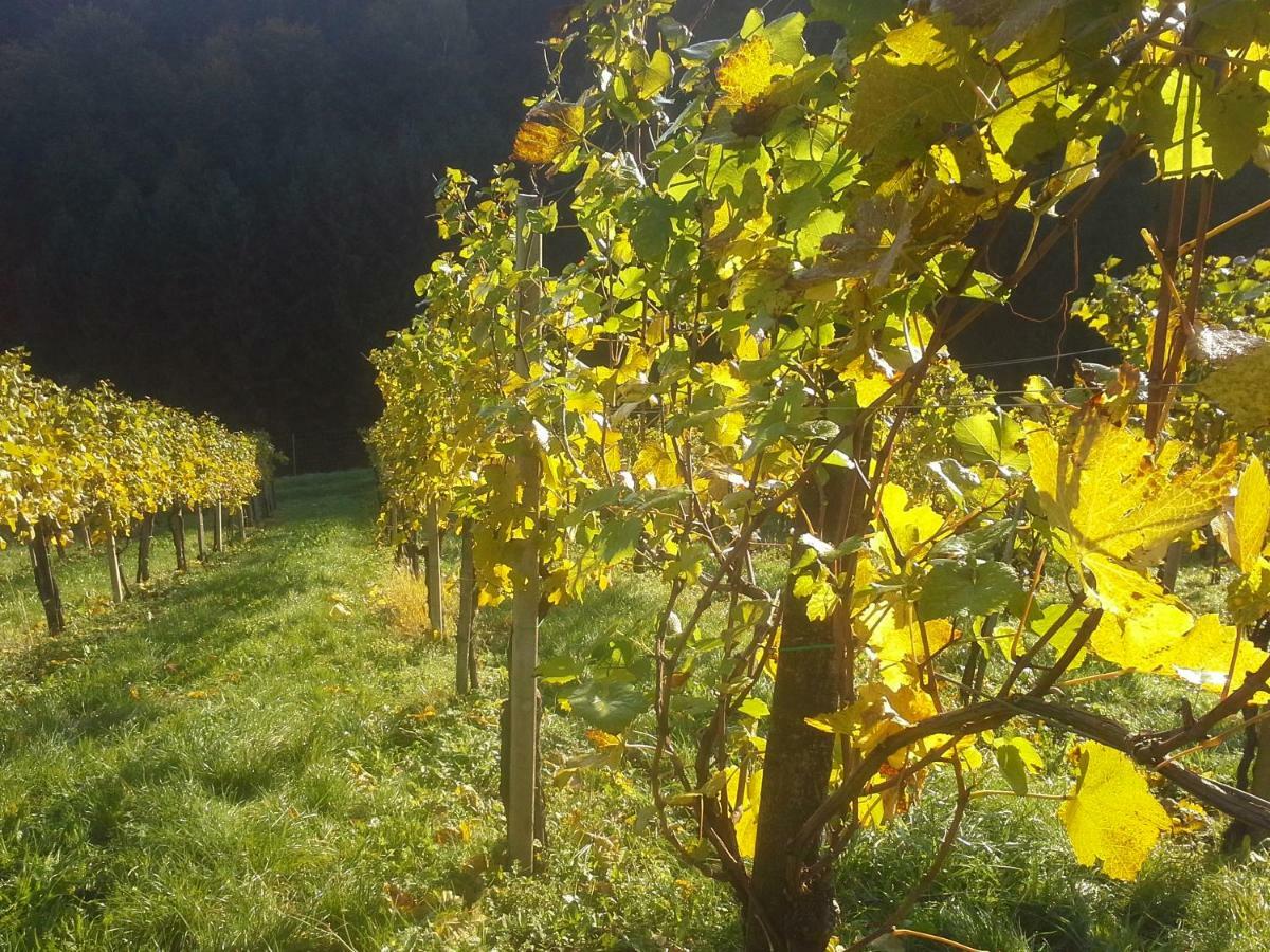 Weingut- Gaestezimmer Marko Leutschach Dış mekan fotoğraf